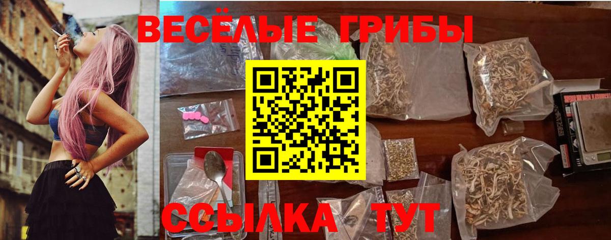 Кудрово  Псилоцибиновые грибы Cubensis  Вход с VPN 